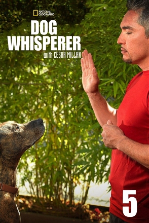 Dog Whisperer_0005