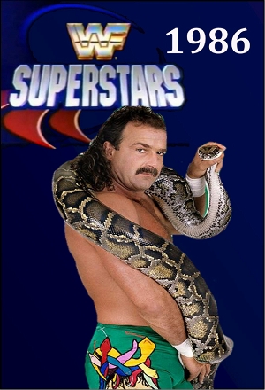 WWF Superstars of Wrestling 15