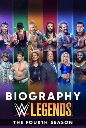 "Stone Cold's" Final Match