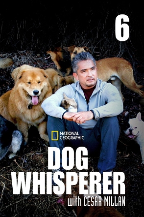 Dog Whisperer_0006