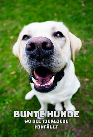 Bunte Hunde - Wo die Tierliebe hinfällt